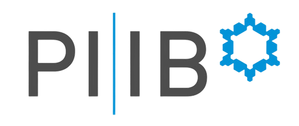 professional-indemnity-insurance-logo